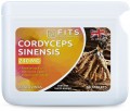 Cordyceps sinensis 240 mg tabletės